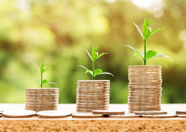 The Mechanisms and Preconditions of Innovation‑Driven Sustained Economic Growth